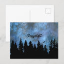 Buscar pine forest postales Bosque de pinos
