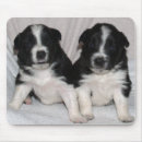 Buscar perrito blanco y negro alfombrillas de raton Perro