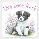 Buscar border collie pegatinas Perrito