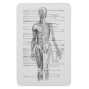 Buscar medicina imanes Para todos