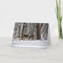 Buscar park city tarjetas Nieve