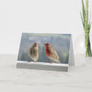 Buscar encuentro tarjetas Pájaros
