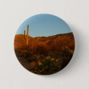 Buscar cactus del saguaro pins Para todos