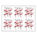 Buscar extravagancia postales Flamingo