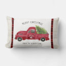 Buscar paja cojines Para ellos