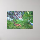 Buscar cama lienzos Animal