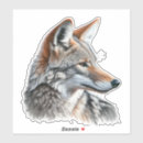 Buscar el coyote pegatinas Vida silvestre
