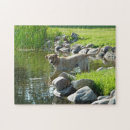 Buscar aficiones puzzles Foto