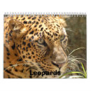 Buscar leopard calendarios Salvaje