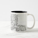Buscar cartografía tazas Mar