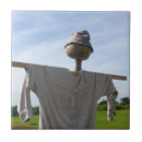 Buscar escarabajos azulejos Lindo