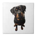 Buscar perro del rottweiler azulejos Lobo