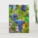 Buscar grapa tarjetas General y unisex