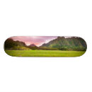 Buscar belleza tablas de skate Imagen del color