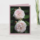 Buscar jardín inglés tarjetas Primavera