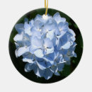 Buscar hydrangea adornos Naturaleza