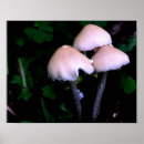 Buscar setas posters Para ella