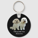 Buscar bichon llaveros Perro