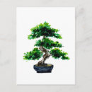 Buscar bonsai postales Naturaleza