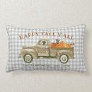 Buscar camiones viejos cojines Para todos