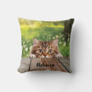 Buscar himalayan decoracion 9 º gata