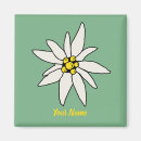 Buscar edelweiss imanes Flor