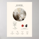 Buscar escorpión posters Signo de estrella