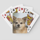 Buscar headshot barajas de cartas Chihuahua