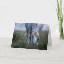 Buscar color selectivo tarjetas Animales