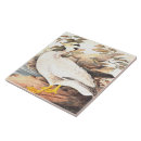 Buscar bird azulejos Vida silvestre