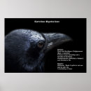 Buscar corvidae posters Cuervos