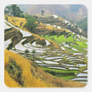 Buscar el cultivar pegatinas Agricultura