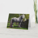 Buscar vanguardista tarjetas Caballo