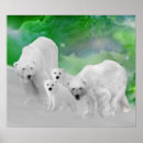 Buscar oso polar lindo posters Cachorro