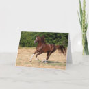 Buscar semental tarjetas Animal