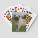 Buscar pug barajas de cartas Carlin