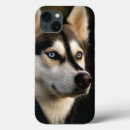 Buscar cáusticos fundas Animal