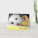 Buscar combinado tarjetas General y unisex