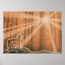 Buscar lobo solitario posters Bosque