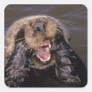 Buscar facial postales Vida marina