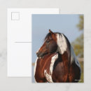 Buscar dolor de cabeza postales Animal