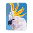 Buscar cockatoo imanes Cacatúa