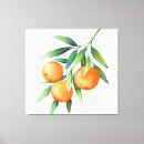 Buscar fruta lienzos 1 ᵉʳ explotación