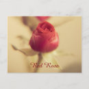 Buscar rosa roja postales General y unisex