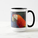 Buscar macaw del oro Naturaleza