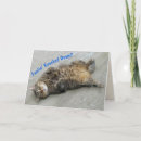 Buscar flojo tarjetas Gatos
