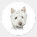 Buscar westie pegatinas Adorable