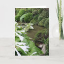 Buscar zen tarjetas Naturaleza
