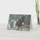 Buscar mulas tarjetas Burro