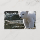 Buscar oso del bebé tarjetas de visita Animal